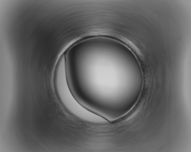 X0000115720885200911191349