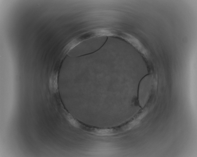 X0000115720889200911191349