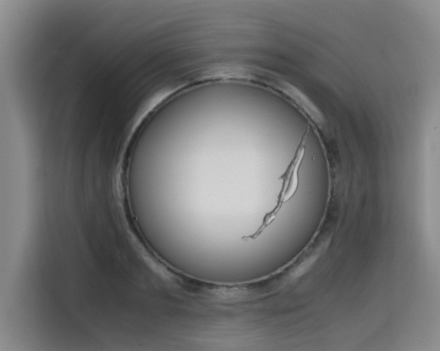 X0000115720893200911191349