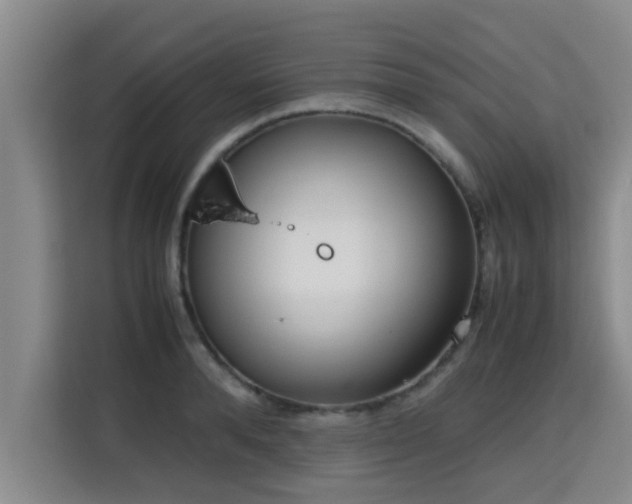 X0000115720896200911191349