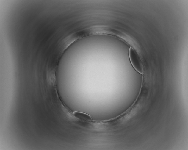 X0000115720897200911191349