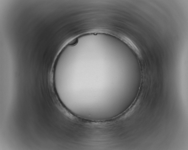 X0000115720900200911191349