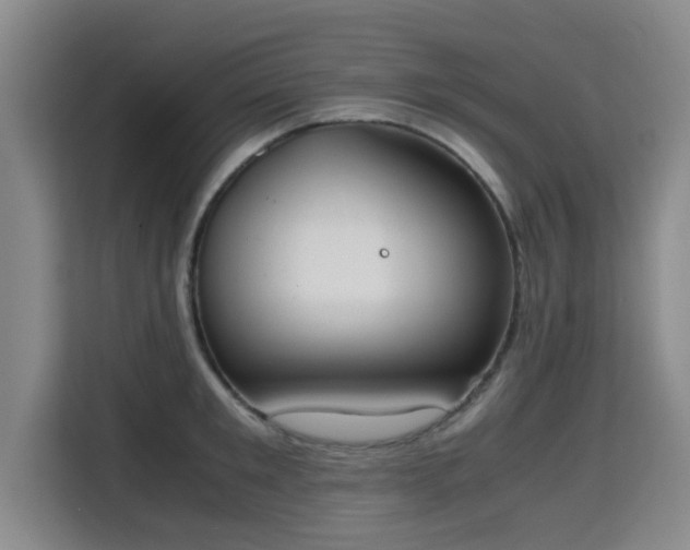 X0000115720901200911191349