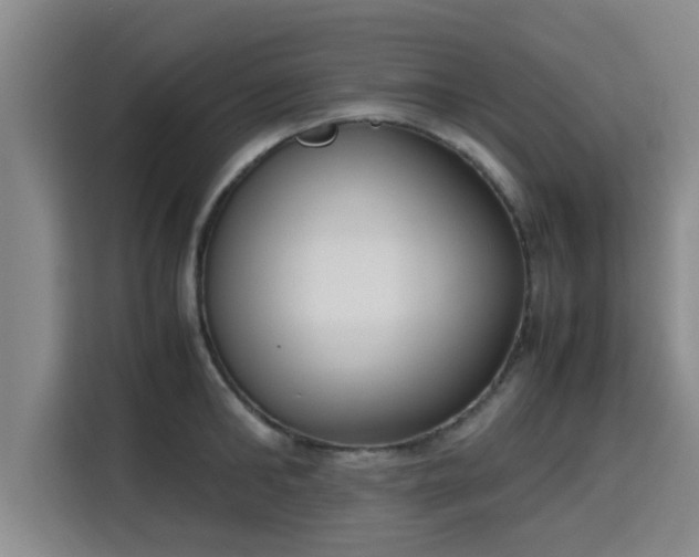 X0000115720902200911191349