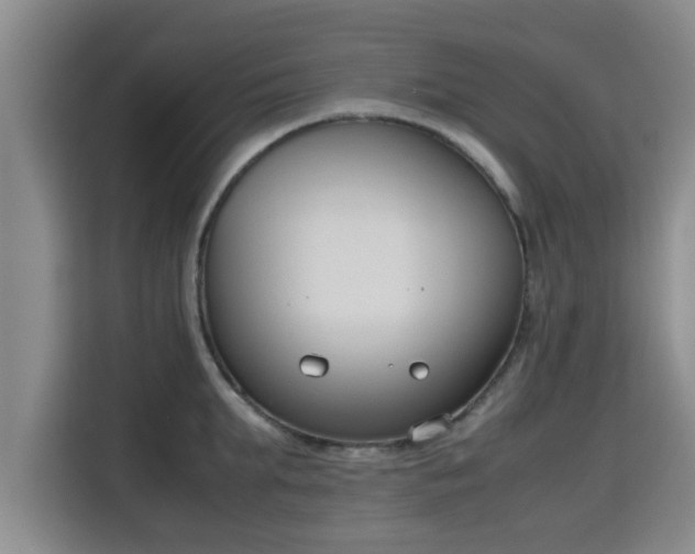 X0000115720903200911191349