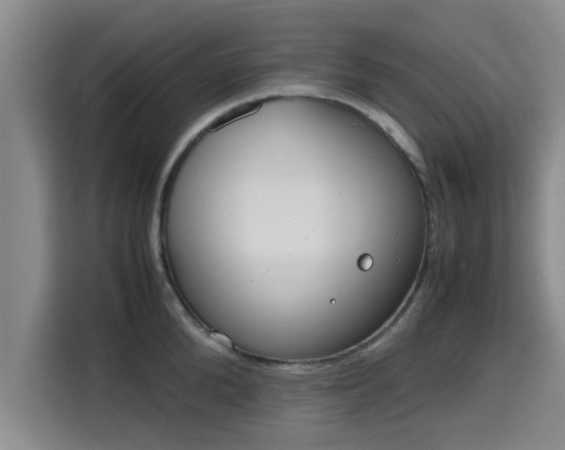 X0000115720904200911191349