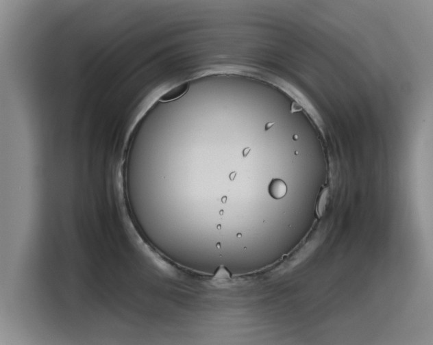 X0000115720906200911191349