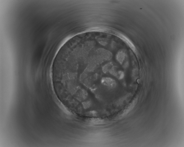 X0000115720907200911191349