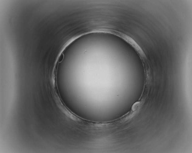 X0000115720908200911191349