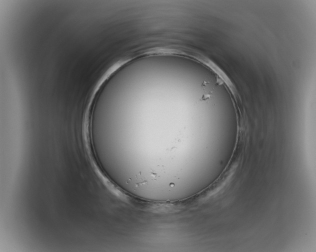 X0000115720909200911191349