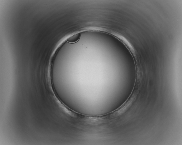 X0000115720910200911191349