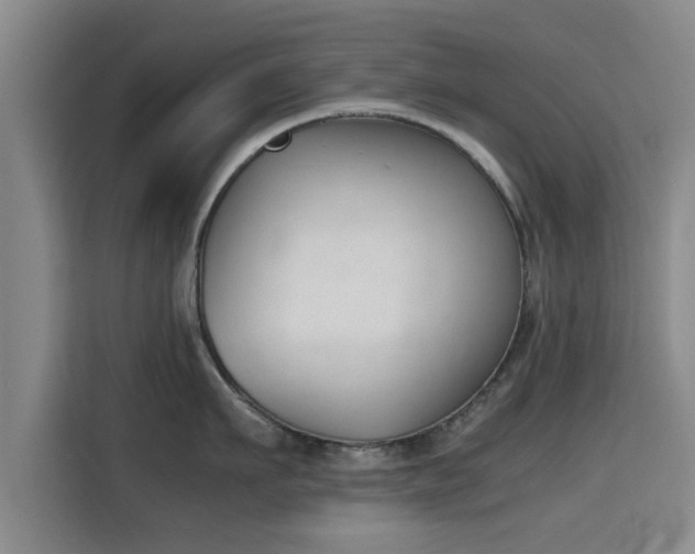 X0000115720911200911191349