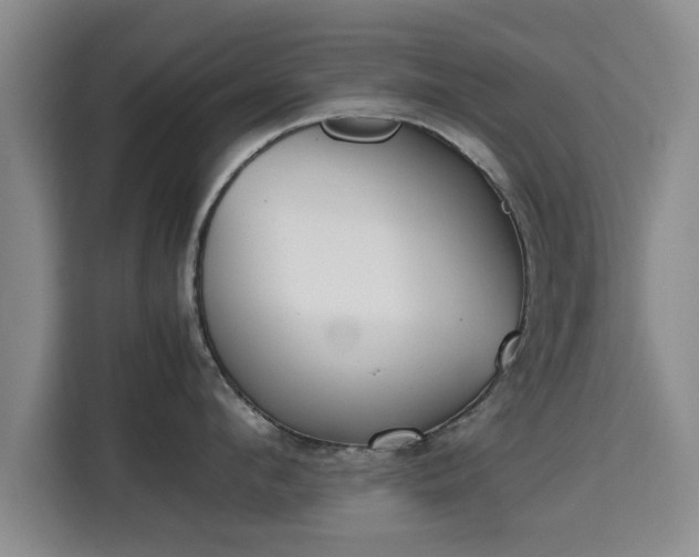 X0000115720912200911191349