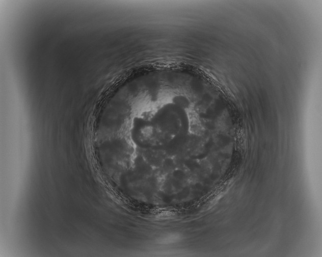 X0000115720913200911191348