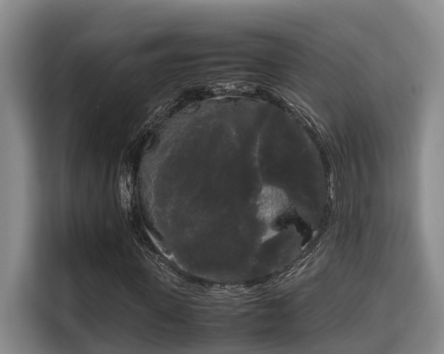 X0000115720915200911191348
