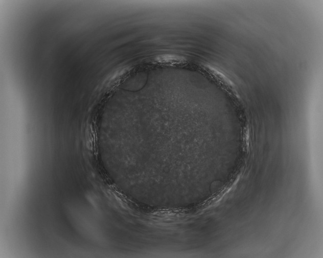 X0000115720917200911191348