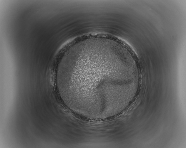 X0000115720919200911191348