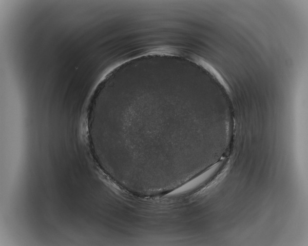 X0000115720923200911191348