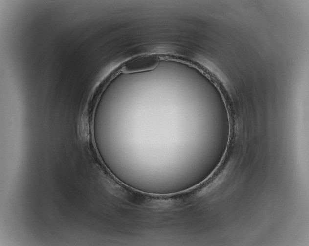 X0000115720925200911191348