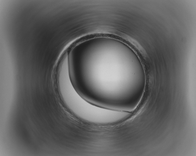 X0000115720926200911191348