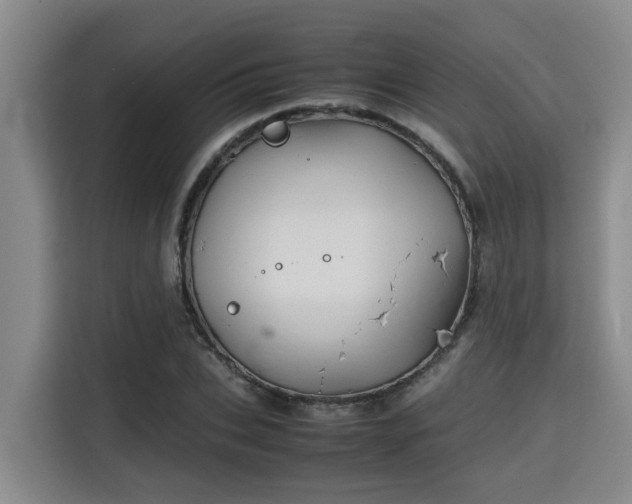X0000115720927200911191348