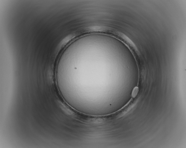 X0000115720930200911191348