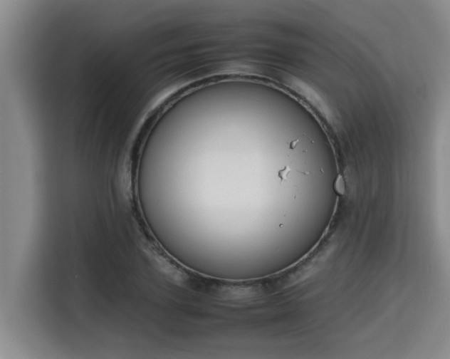 X0000115720931200911191348