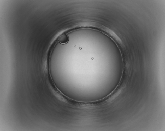 X0000115720934200911191348