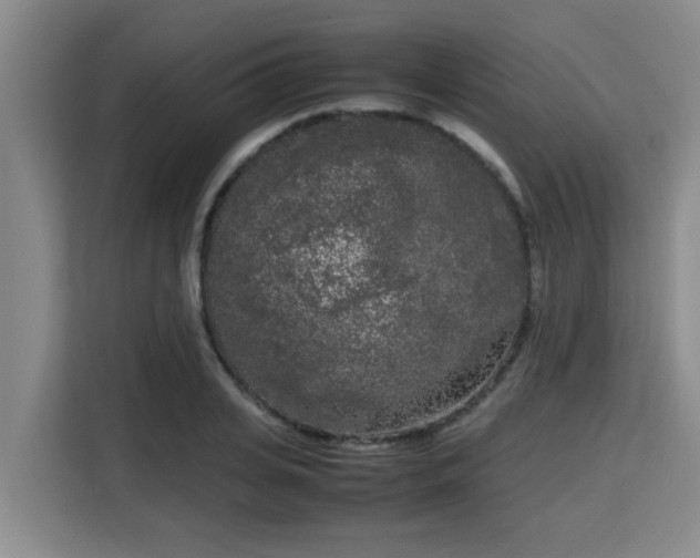 X0000115720935200911191348