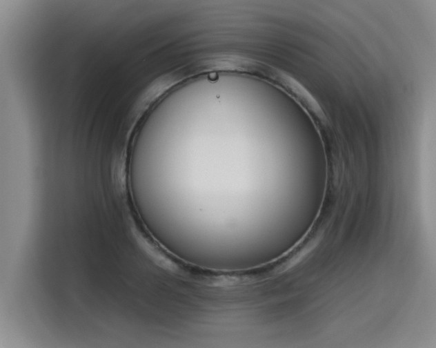 X0000115720938200911191348