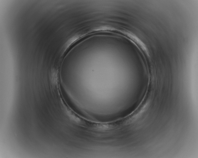 X0000115720945200911191349