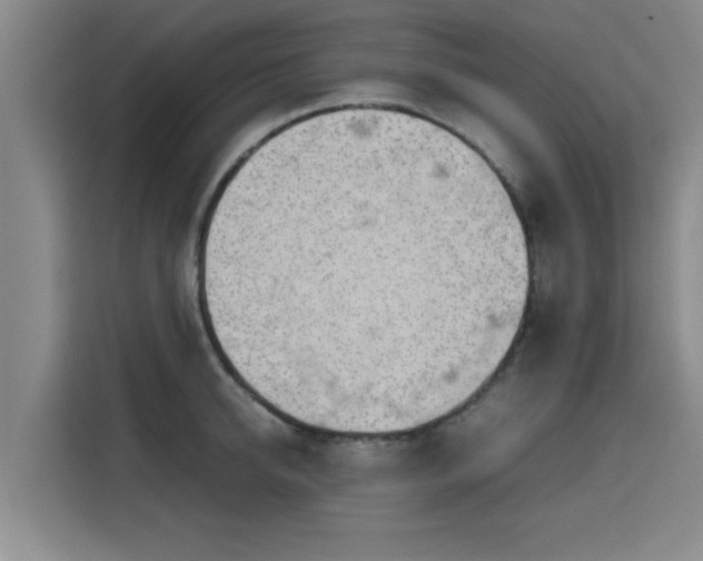 X0000115720950200911191349
