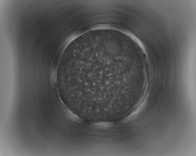X0000115720953200911191349