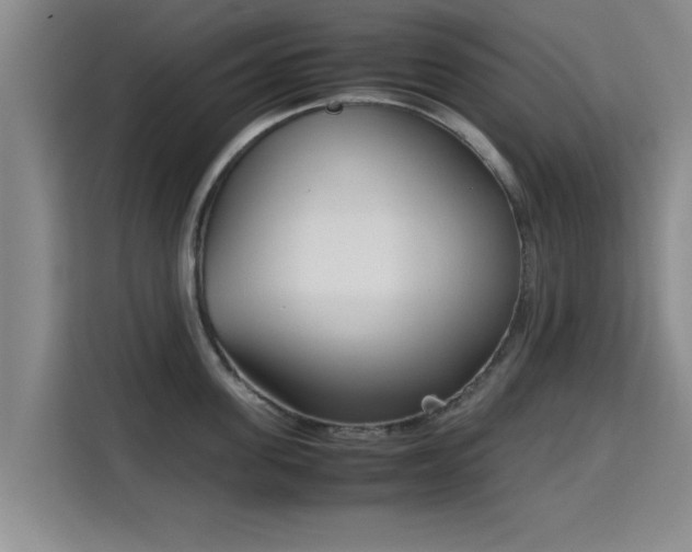 X0000115720955200911191349