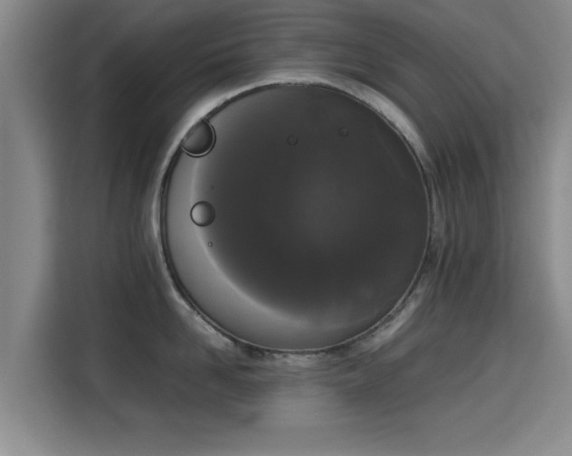X0000115720958200911191349