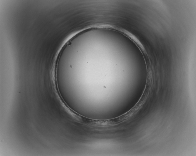 X0000115720959200911191349