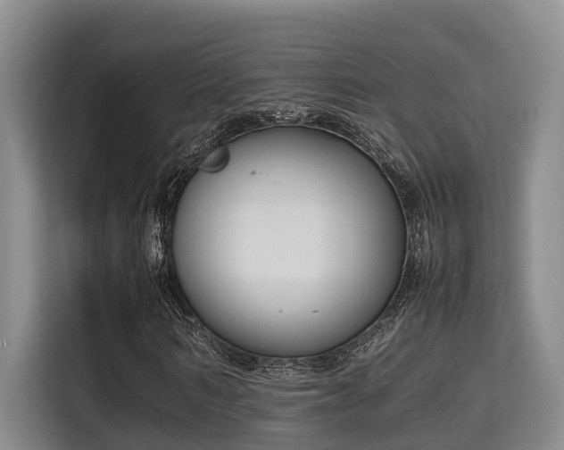 X0000115720962200911191348