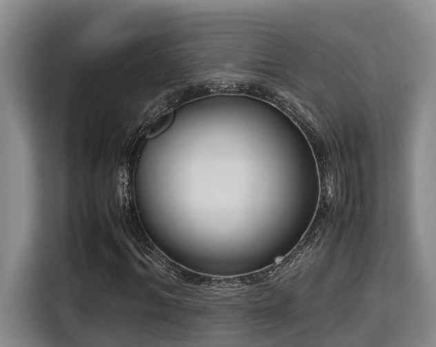 X0000115720964200911191348