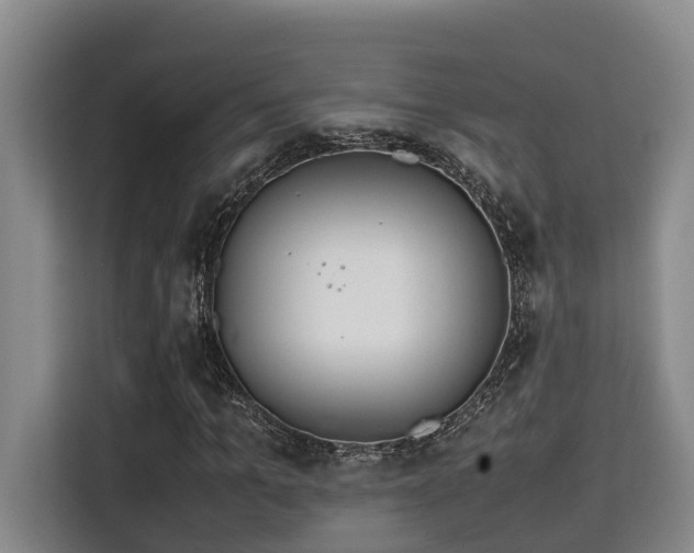 X0000115720965200911191348