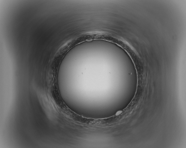 X0000115720967200911191348