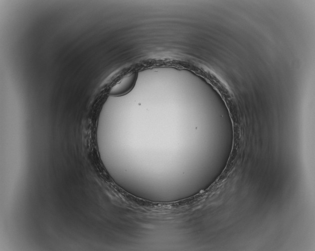 X0000115720968200911191348