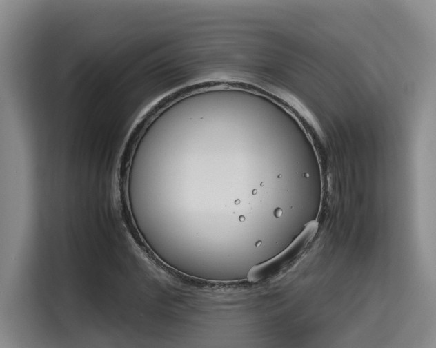X0000115720972200911191348