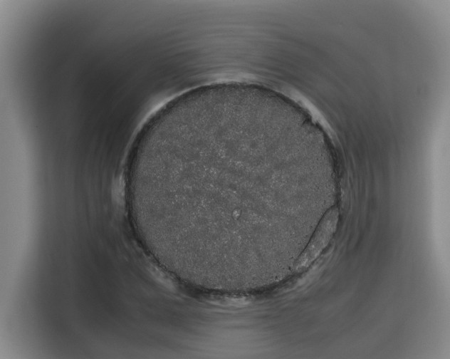X0000115720975200911191348