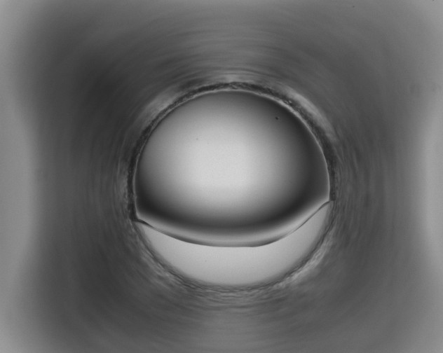 X0000115720977200911191348