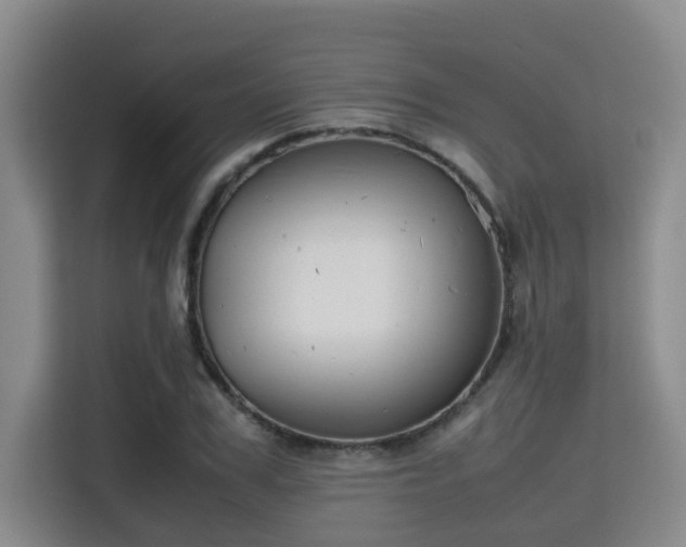 X0000115720979200911191348