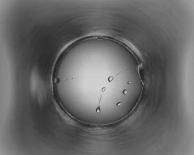 X0000115720980200911191348
