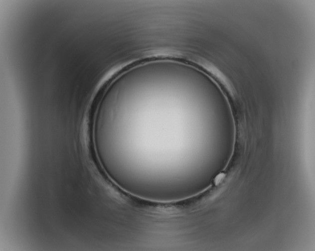 X0000115720983200911191348