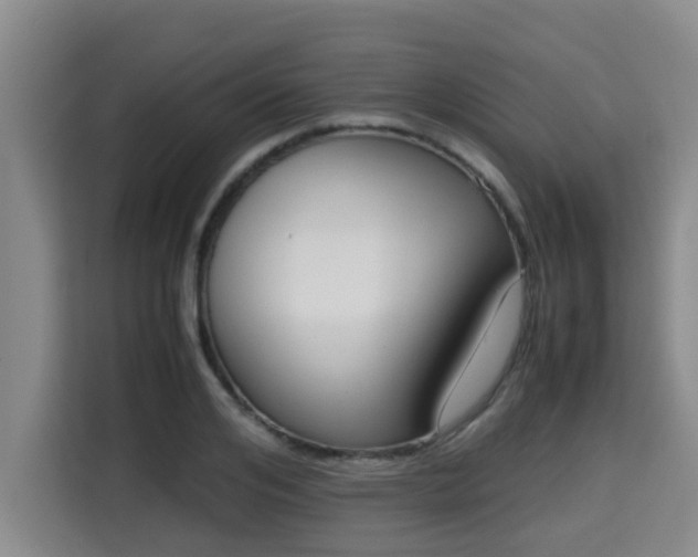 X0000115720984200911191348
