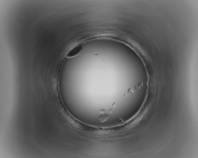 X0000115720985200911191348