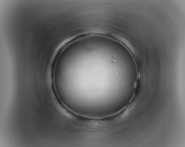 X0000115720987200911191348